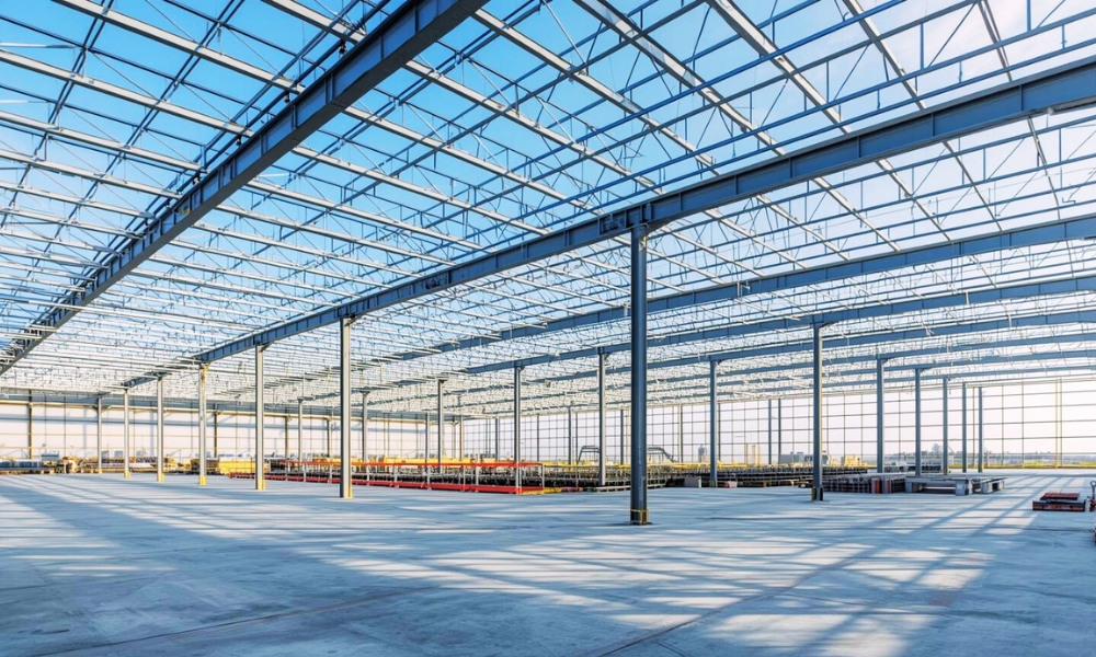 WhatsApp Image 2026-01-20 at 15.03.10